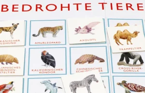 Spiele & Puzzle | Spiele Für Kinder>Laurence King Verlag Bingo »Bedrohte Tiere«
