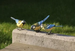 Gartendekoration | Garten>Ars mundi Deko-Objekte »Vögel«, 3-teilig