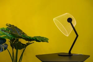 Tisch- & Leseleuchten | Schreibtischleuchten>Studio Cheha LTD 3D-Lampe ZIGGi