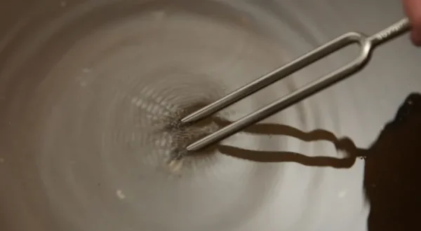 Konstruieren & Experimentieren>Kraul Experimentierkasten »Horchkiste«