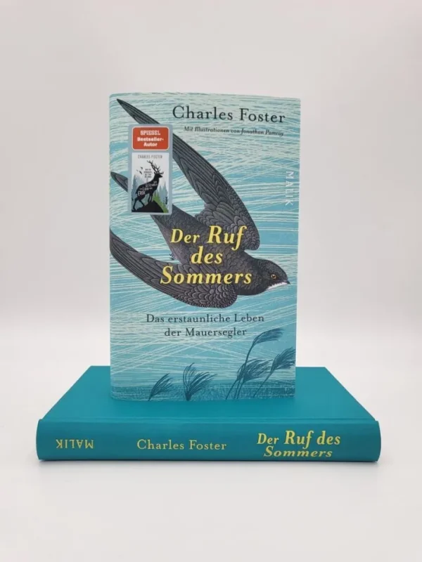 Romane>ZEIT Buchhandlung Foster, Charles: Der Ruf des Sommers
