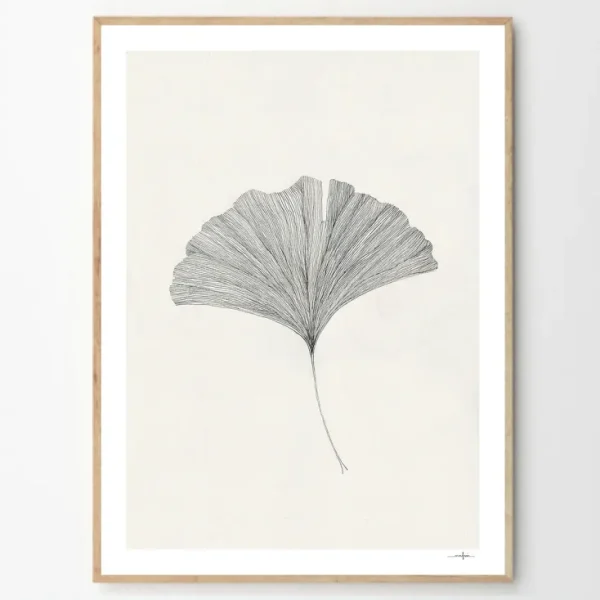 Wandbilder & Wanddekoration>The Poster Club Frois, Ana: »Ginkgo Leaf«, mit Rahmung