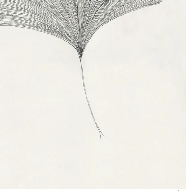 Wandbilder & Wanddekoration>The Poster Club Frois, Ana: »Ginkgo Leaf«, mit Rahmung