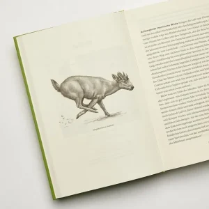 Sachbücher>ZEIT Buchhandlung Halliday, Thomas: Urwelten