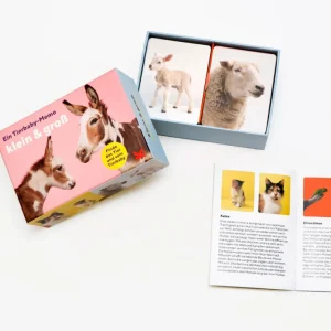 Spiele Für Kinder>Laurence King Verlag Memo »Klein und Groß«