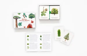 Spiele Für Erwachsene | Spiele Für Kinder>Laurence King Verlag Memo-Spiel »Bäume und ihre Blätter«