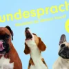 Spiele & Puzzle | Spiele Für Kinder>Laurence King Verlag Memo-Spiel »Hundesprache - Verstehst du deinen Hund?«