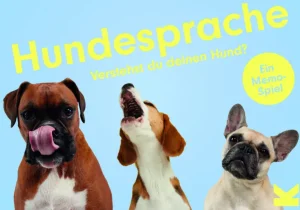 Spiele & Puzzle | Spiele Für Kinder>Laurence King Verlag Memo-Spiel »Hundesprache - Verstehst du deinen Hund?«