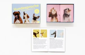 Spiele & Puzzle | Spiele Für Kinder>Laurence King Verlag Memo-Spiel »Hundesprache - Verstehst du deinen Hund?«