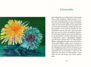 Sachbücher>DIE ZEIT Neulich im Beet