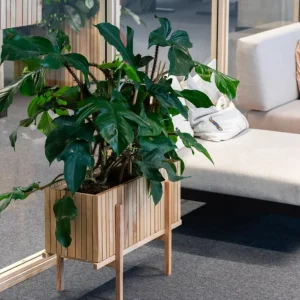 Gartenmöbel>Squarely Pflanzgefäß »GrowWIDE«