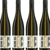 Weißwein | Alkoholfrei>KOLONNE NULL Riesling 2023, alkoholfrei, 6er Set