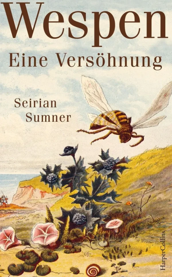Sachbücher>ZEIT Buchhandlung Seirian Sumner: Wespen – Eine Versöhnung