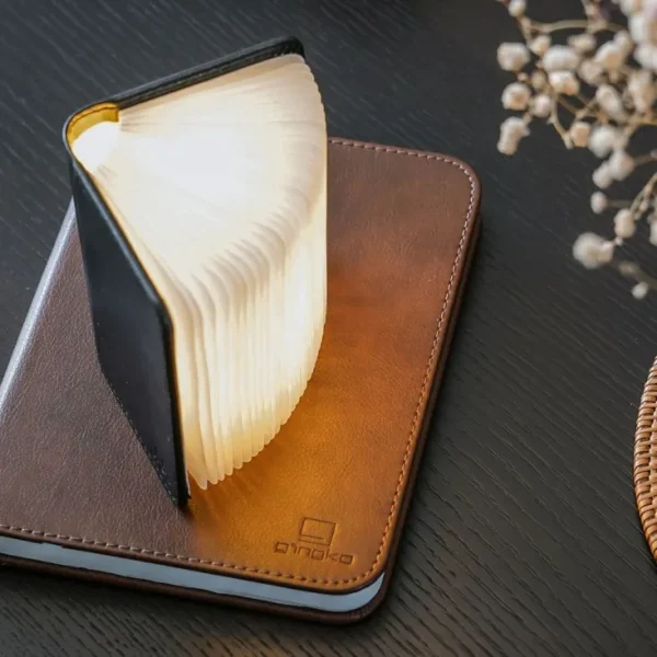 Tisch- & Leseleuchten | Schreibtischleuchten>Gingko Design Ltd Smart Booklight- Leather black