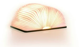 Tisch- & Leseleuchten>Gingko Design Ltd Smart Booklight »Walnuss«
