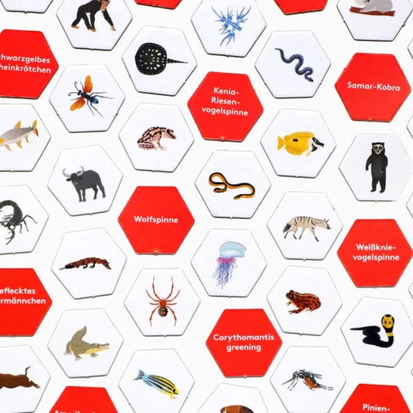Spiele Für Kinder>Laurence King Verlag Wimmel Such Spiel »Erste*r sein!«
